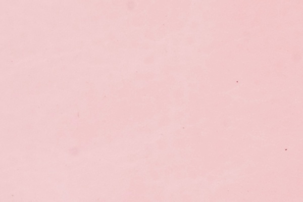 J24-64 Swatch