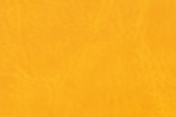 R64-29 Swatch