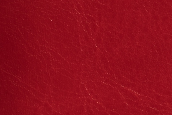 R64-43 Swatch