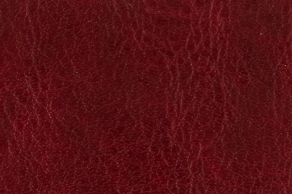 R64-46 Swatch