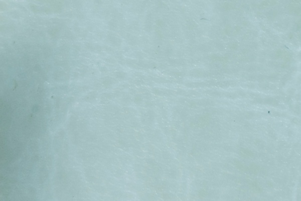 R64-97 Swatch