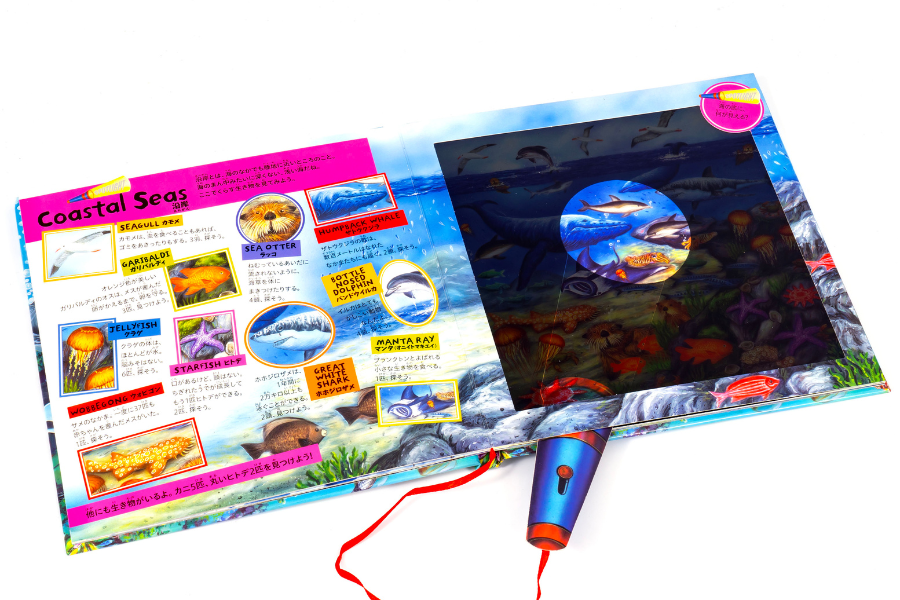 custom interactive books (1)